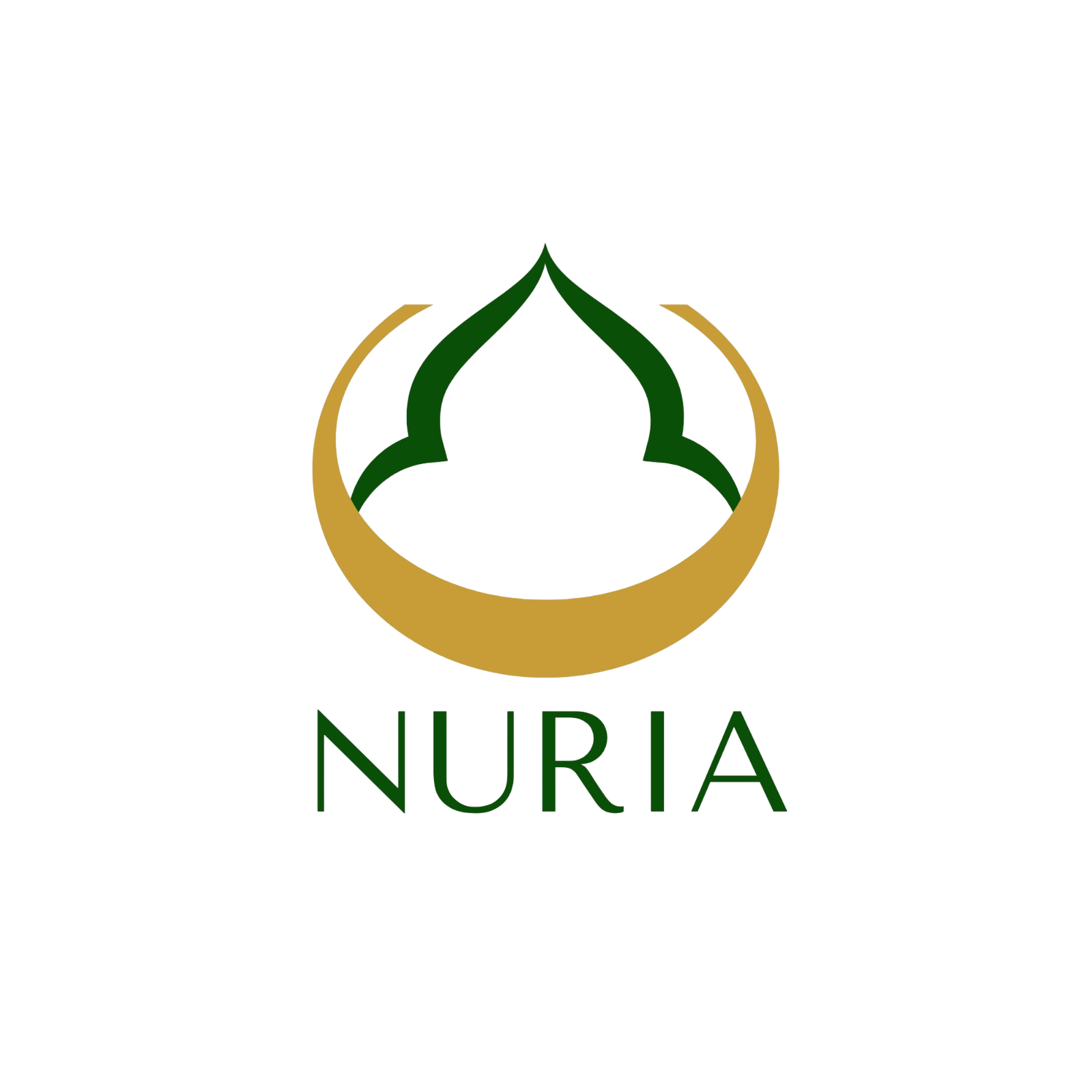Nuria app logo